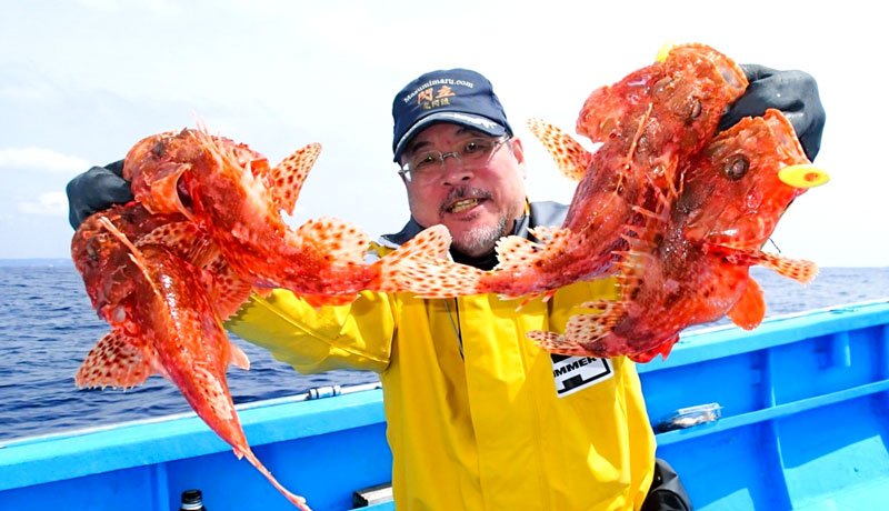 館山沖で釣り上げたオニカサゴ（写真は「真澄丸」提供）