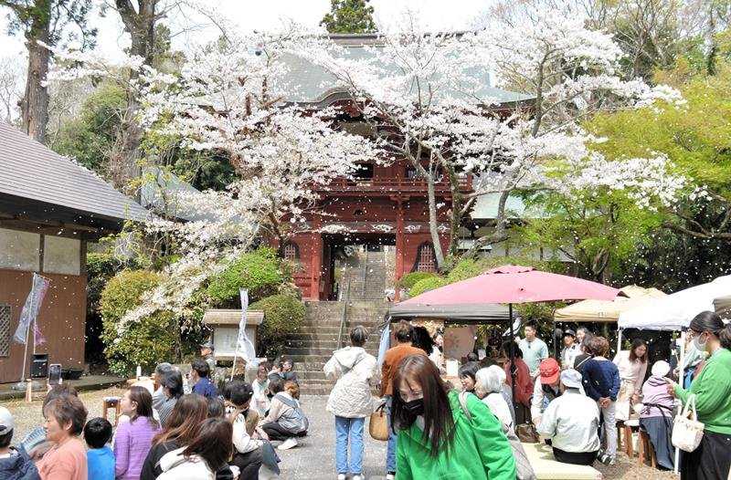 いすみ市の古刹、清水寺境内で行われた「春の寺市」＝６日
