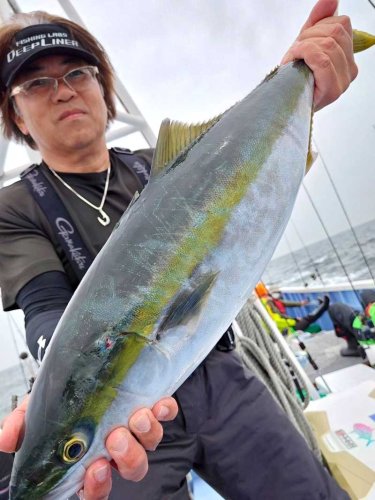 木更津、保田アジ好釣　富浦トラフグ充実　【今週の釣果】