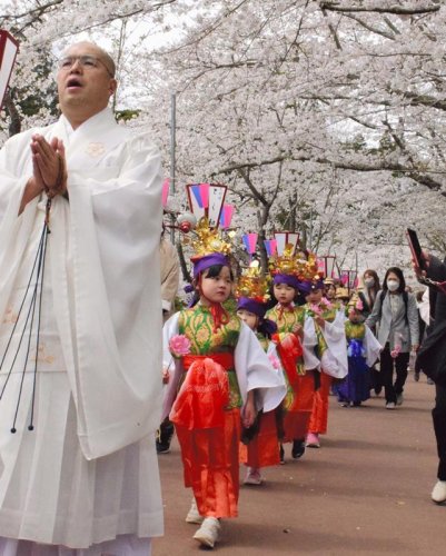 桜の下で稚児行列　男女１０人華やかに　茂原・藻原寺