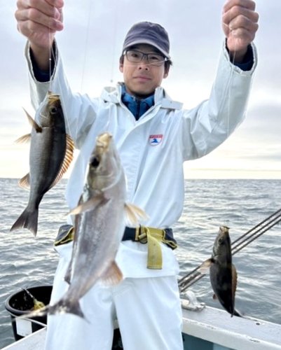 木更津、川崎アジ好釣　横浜カサゴ狙える　【今週の釣果】