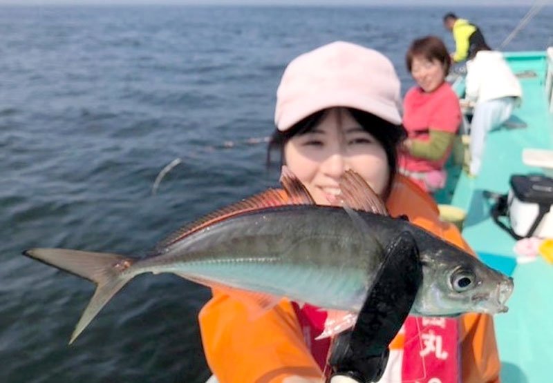 木更津沖で釣り上げたアジ（写真は「守山丸」提供）
