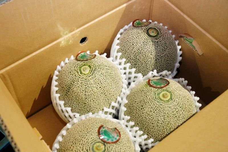飯岡メロン初出荷　爽やかな甘み「今年も美味」太鼓判　旭