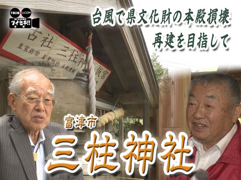 気になるあの記事を「ツイセキ！！」