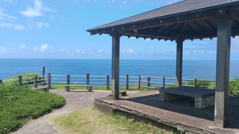 【速報】勝浦の崖下に妻の遺体放置疑い、転落か　千葉市の６３歳逮捕　「妻が柵越え飛び降りた」