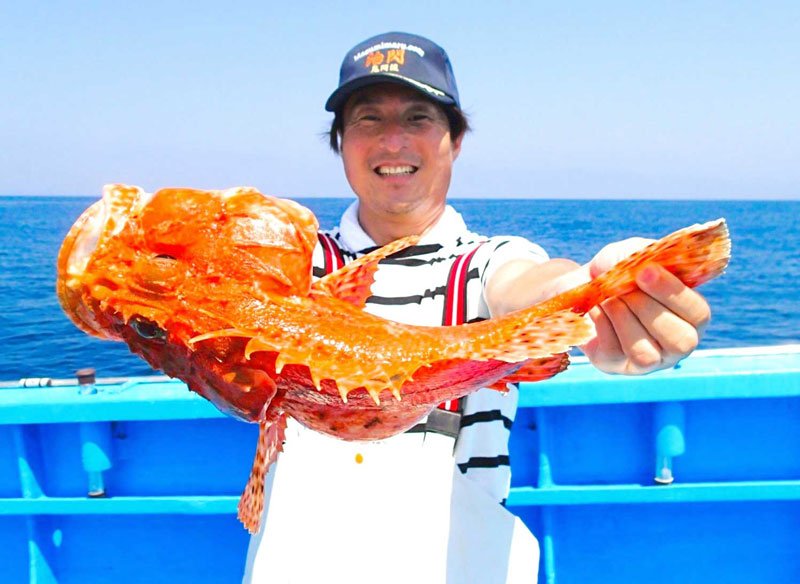 館山沖で釣り上げたオニカサゴ（写真は「真澄丸」提供）