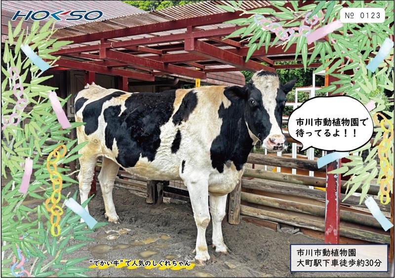 令和７年７月７日　ゾロ目こだわり　記念切符セット、７日発売　北総鉄道