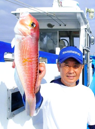 走水観音崎タチウオ狙える　富岡アジ好釣　【今週の釣果】