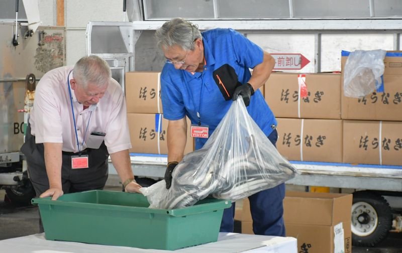 成田空港ウナギ輸入ピーク　「土用の丑」へ続々到着　続く高値、取引規制懸念も