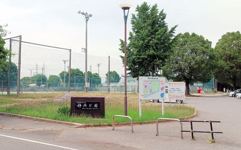 （仮称）姉崎のぞみ病院の建設予定地となる姉崎公園＝市原市姉崎海岸