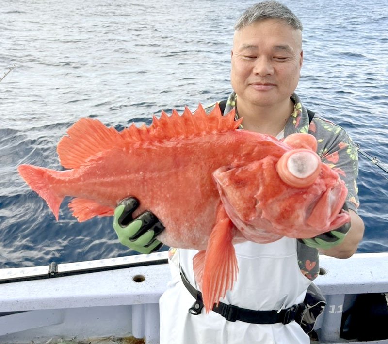 大原沖で釣り上げたメヌケ（写真は「鈴栄丸」提供）