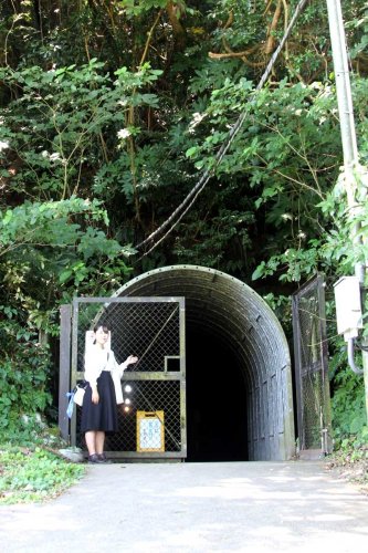 自然豊かな小高い山の側面にある赤山地下壕跡の入り口＝館山市