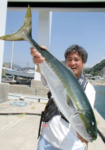 保田沖から竹岡沖で釣り上げたワラサ（写真は「村井丸」提供）
