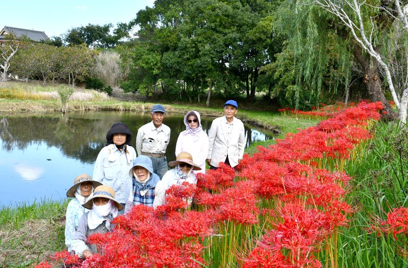 緑地一帯を深紅に彩るヒガンバナを育てている「大須賀川河童会」のメンバーら＝９月３０日、香取市