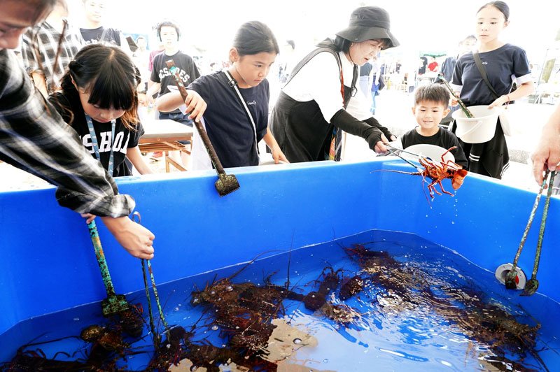 伊勢エビのつかみ取りに挑戦する来場者＝５日、御宿町