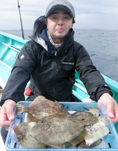 保田沖で釣り上げたカワハギ（写真は「村井丸」提供）
