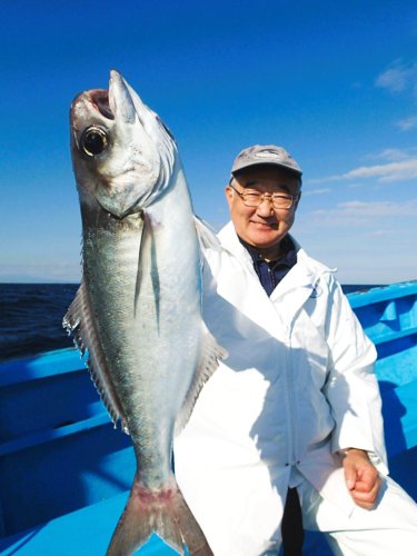 館山沖で釣り上げたメダイ（写真は「真澄丸」提供）