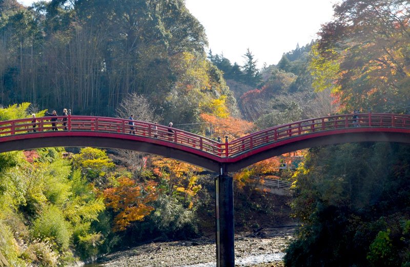 養老渓谷温泉街の入り口にある観音橋。赤いモミジと朱色の太鼓橋、木々の緑のコントラストが美しい＝大多喜町