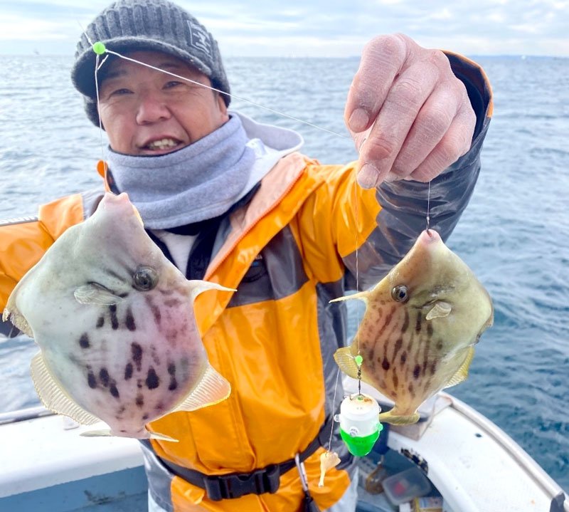 木更津、川崎　アジダブル連発　竹岡カワハギ尺サイズも　【今週の釣果】