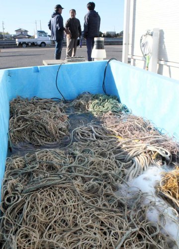 白子、養殖アオノリ復活へ　「正月の食文化もう一度」　大震災後、不作続く　南白亀川漁協