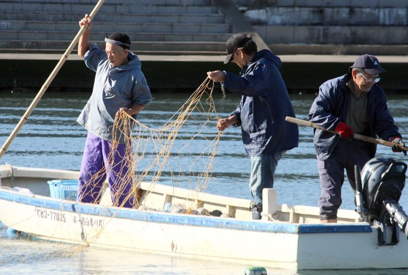 アオノリ養殖用の網を水中に設置する南白亀川漁協の組合員ら＝昨年１２月１８日、白子町