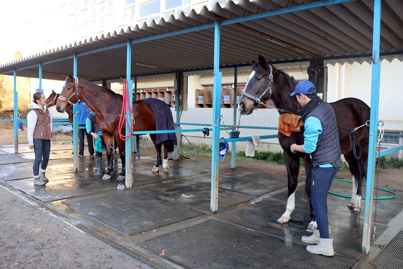 廃校が「馬」学ぶ場に　ＪＲＡ騎手や厩務員輩出　山武　東関東馬事高等学院　【房総うま物語】（７）