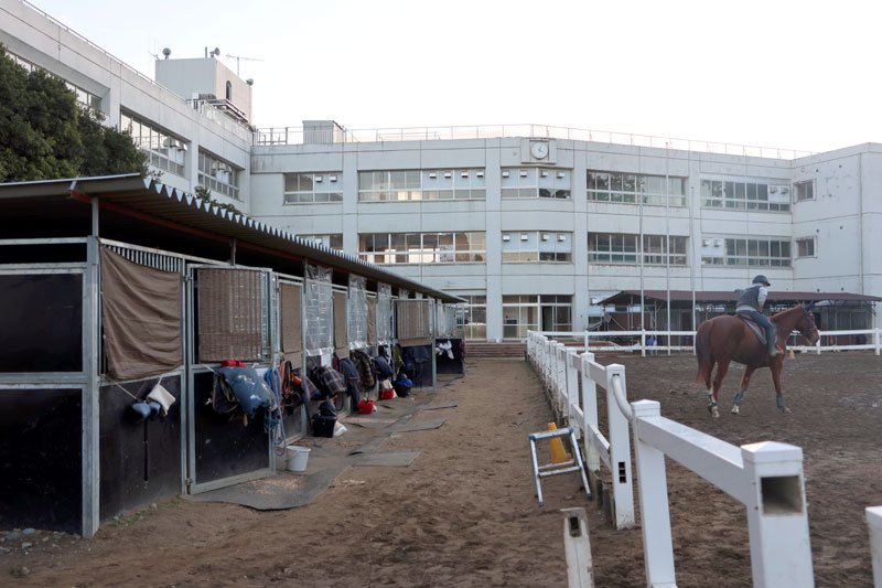 馬房や馬場に生まれ変わったかつてのグラウンド＝山武市