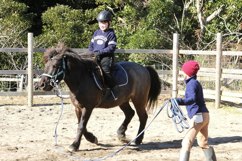 道産子にまたがり、楽しそうに指示を出す小学６年の男子児童＝館山市