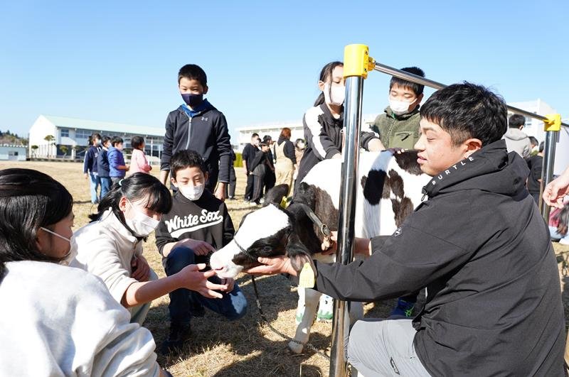 酪農の牧場からやって来た子牛と和やかに触れ合う児童＝いすみ市
