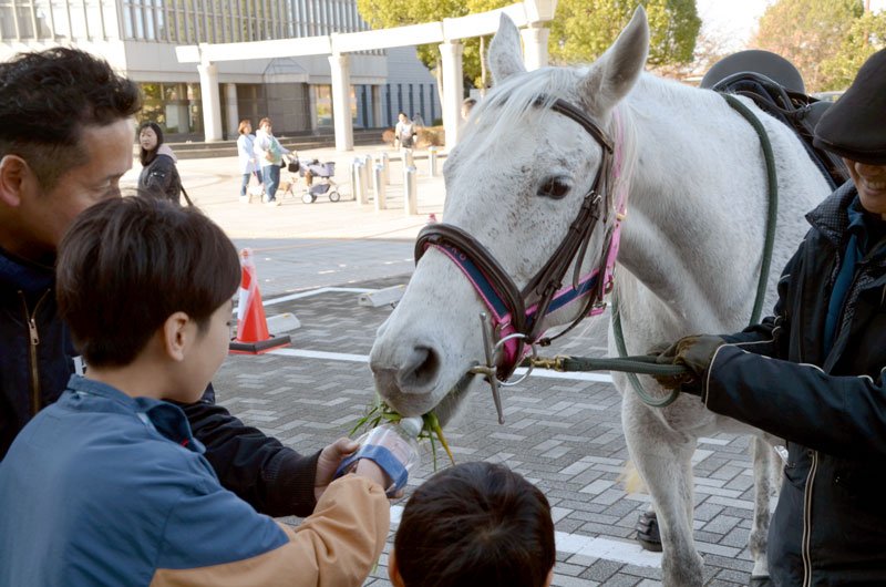 モモコに餌をあげるなど触れ合う子どもたち＝１８日、市原市のいちはら子ども未来館