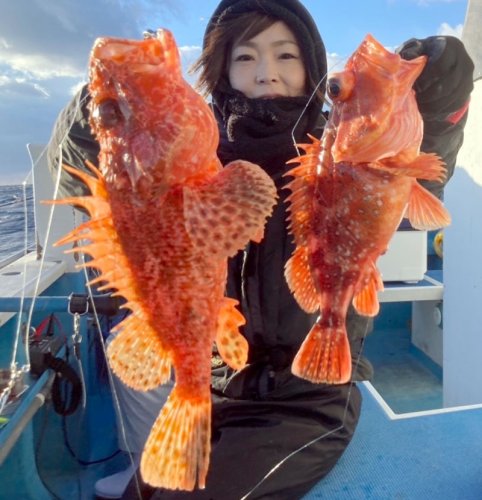 洲崎南沖で釣り上げたオニカサゴ（写真は「萬栄丸」提供）
