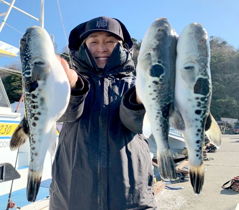 木更津沖で釣り上げたトラフグ（写真は「萬栄丸」提供）
