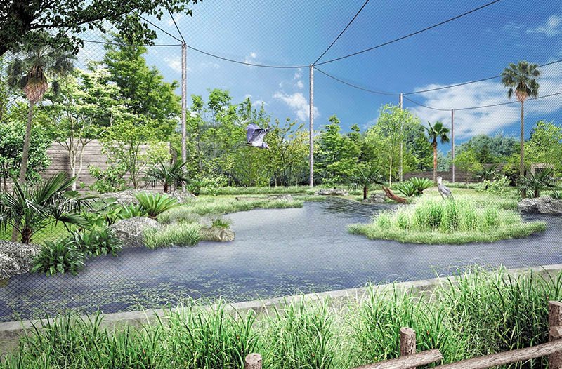 「湿原ゾーン」でのハシビロコウ展示のイメージ。飛翔（ひしょう）できる空間を目指す（千葉市動物公園提供）