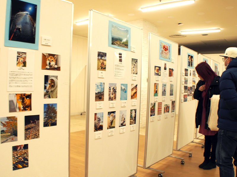 富津写真愛好家協会の会員１０人によるスマホ写真展＝富津市