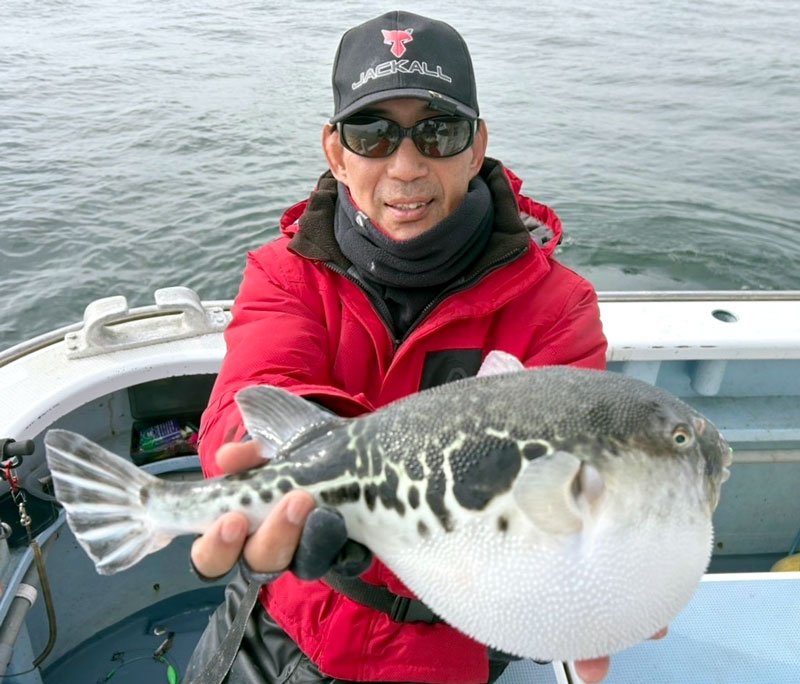木更津、本牧アジ好釣　観音崎トラフグキロ超えも　【今週の釣果】