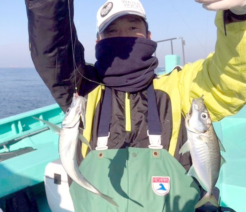 木更津沖で釣り上げたアジ（写真は「守山丸」提供）