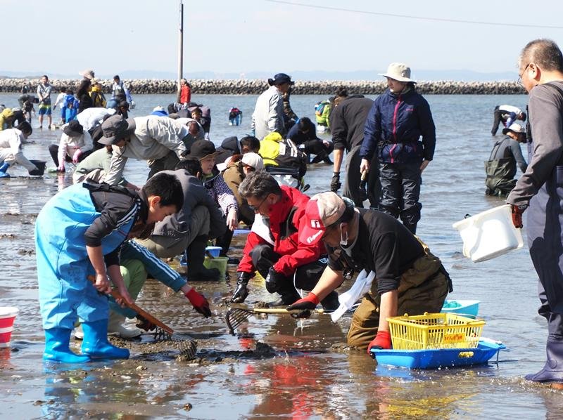砂浜に広がり潮干狩りを楽しむ人たち＝７日、富津市
