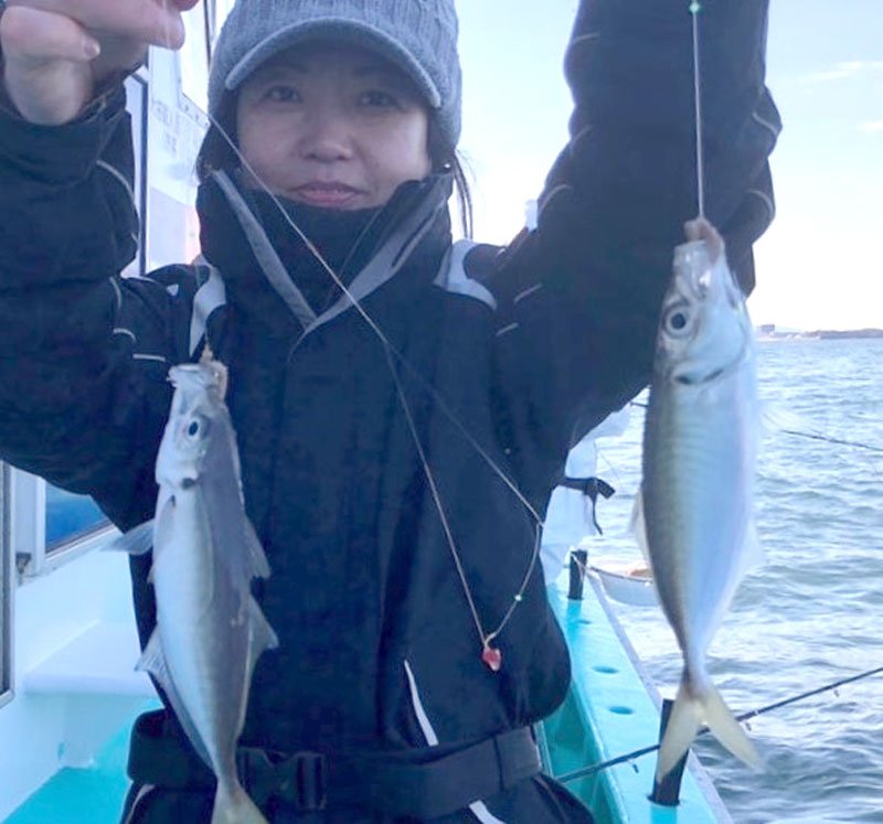 木更津沖で釣り上げたアジ（写真は「守山丸」提供）