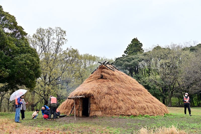特別史跡の加曽利貝塚で、新たな竪穴住居が完成した。住居跡から復元され、縄文時代の暮らしをより感じられるようになった。３日から公開される＝２日、千葉市若葉区　大村慧撮影
