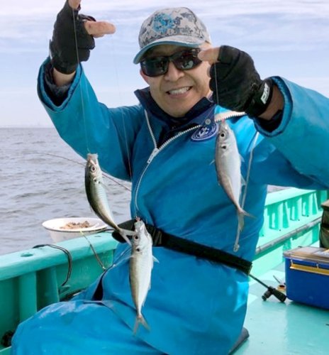 木更津沖で釣り上げたアジ（写真は「守山丸」提供）