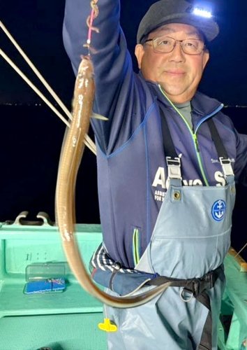 保田大アジ仕留めた　木更津アナゴ期待大　【今週の釣果】