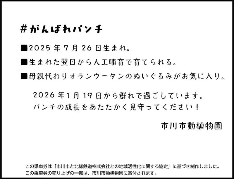子ザルの「パンチ」応援、特別乗車券　北総鉄道２９日から　地域活性化へ市川市と連携