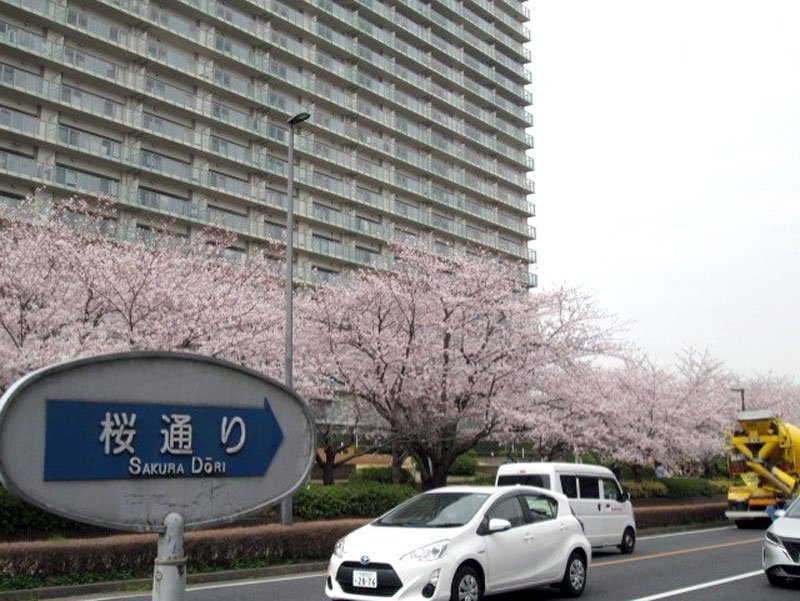 軍都の面影、各所に　子規が訪れ景色詠む　四街道駅（総武本線）　【駅から２Kｍのおもしろ散歩　千葉地理学会】