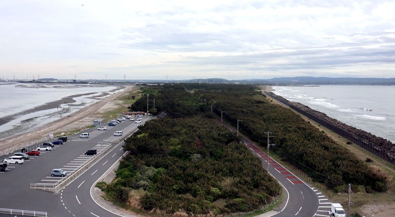 後ろを振り返れば、美しい松林が広がる岬の姿を実感