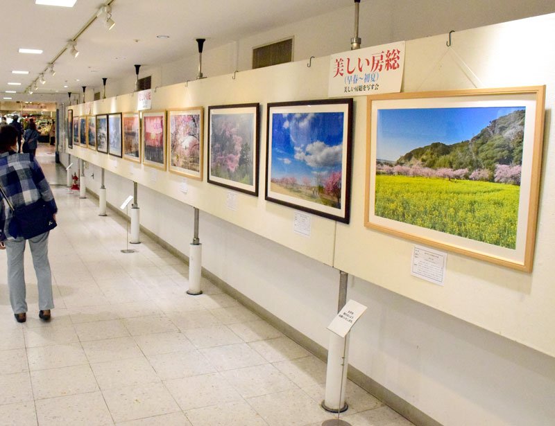 早春から初夏の写真が並ぶ展示会場＝千葉市中央区