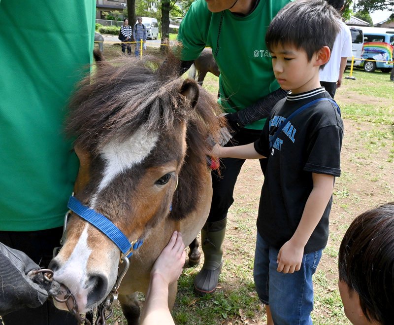 富里でフェスタ　馬と触れ合う　ばん馬の馬車　手入れ体験も