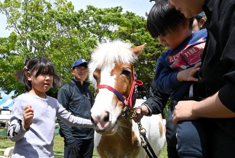 馬と触れ合う子どもたち＝４日、富里市