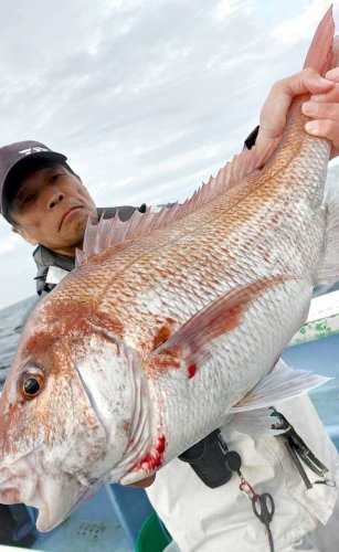 保田イサキ狙える　木更津アジ好釣　【今週の釣果】