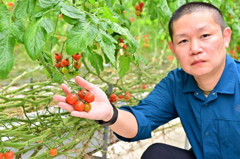 「実が同じようにばらつきなく成長するのも魅力」と話す袖ケ浦ファームの原さん＝５日、袖ケ浦市
