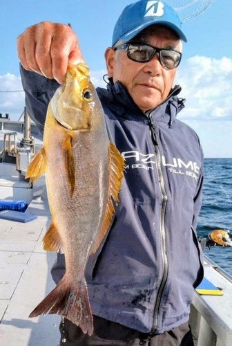 洲崎南大型マハタゲット　保田・木更津アジ狙える　【今週の釣果】